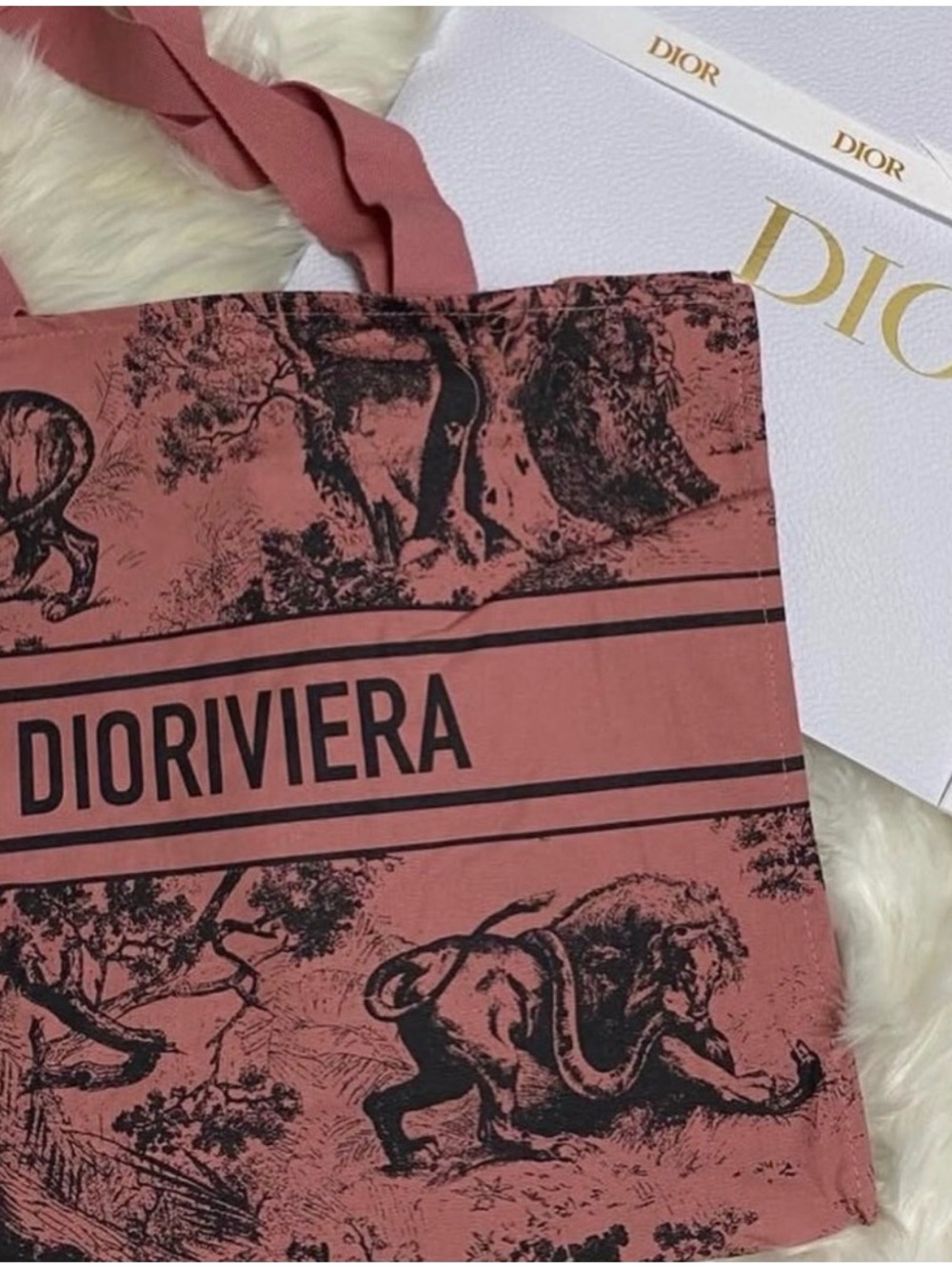 Dior Pink Toile Print Canvas Tote - Picture 2 of 9